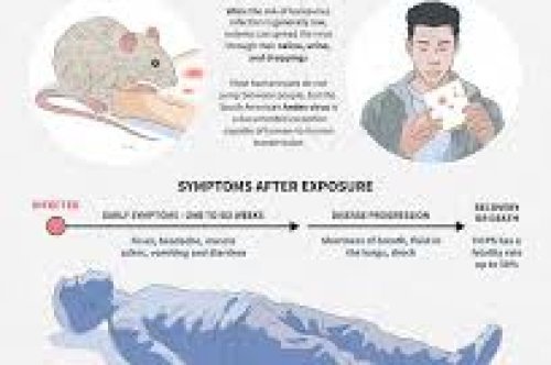 About Hantavirus