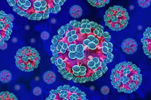 Hantavirus