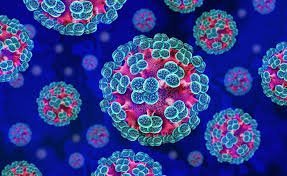 Hantavirus