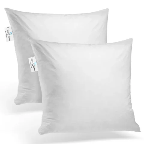 Decorative Down Feathers Fill Square Pillow Insert (Set of 2)