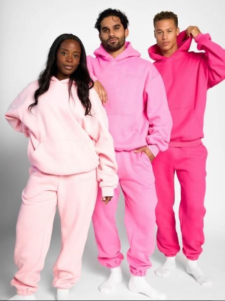 Comfrt Pants & Jumpsuits New Comfrt Minimalist Sweatpants Pale