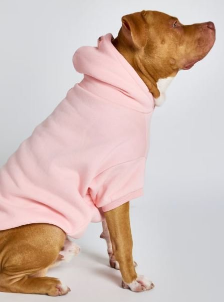 Pastel Paw Hoodie