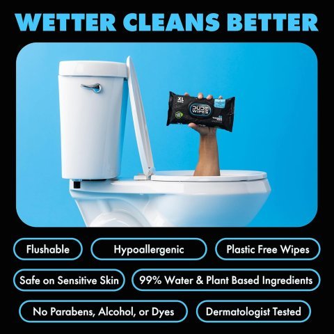 DUDE Wipes Unscented Flushable Wipes - Extra-Large Adult Wet Wipes For Sensitive Skin