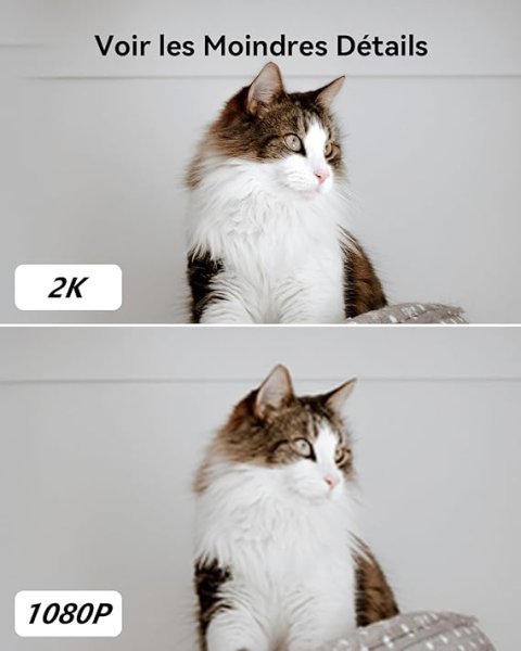 Imou 2K(3MP) WiFi Surveillance Camera Indoor 360° Smart Camera with Human Detection AI Tracking Two-Way Audio Siren Alexa Compatible for Baby/Pets