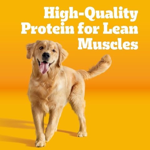 Pedigree Adult Dry Dog Food, Complete Nutrition, Grilled Steak & Vegetable Flavor, 18 lb. Bag