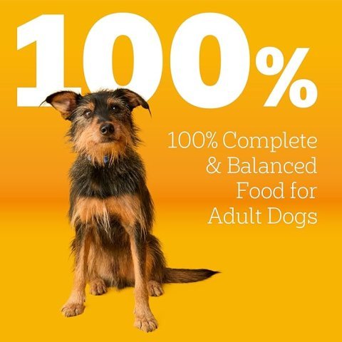 Pedigree Adult Dry Dog Food, Complete Nutrition, Grilled Steak & Vegetable Flavor, 18 lb. Bag