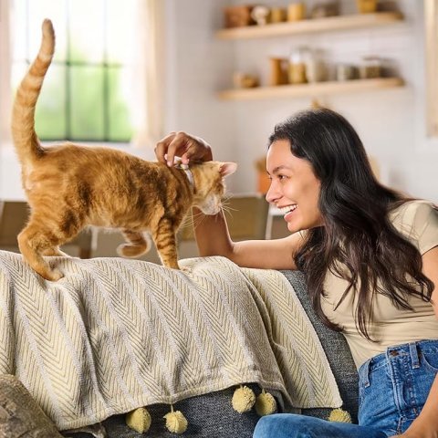 Meow Mix Original Choice Dry Cat Food, 6.3 Pound Bag