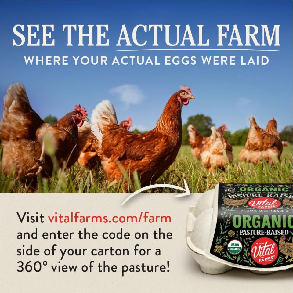 Vital Farms Organic Pasture-Raised Large Eggs 12ct