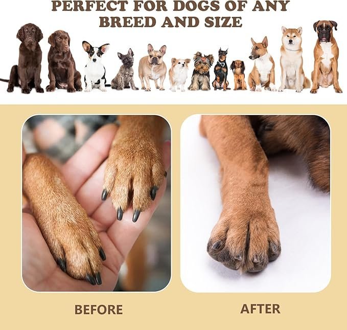 Dog Nail Scratch Board | Stress-Free Interactive Grooming File