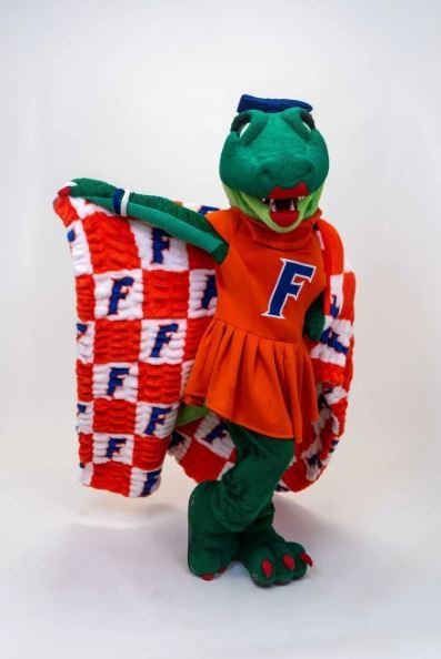 Buy Florida Gators Hugs Blanket Online | Ultra Soft Plush NCAA Throw Blanket for Fans