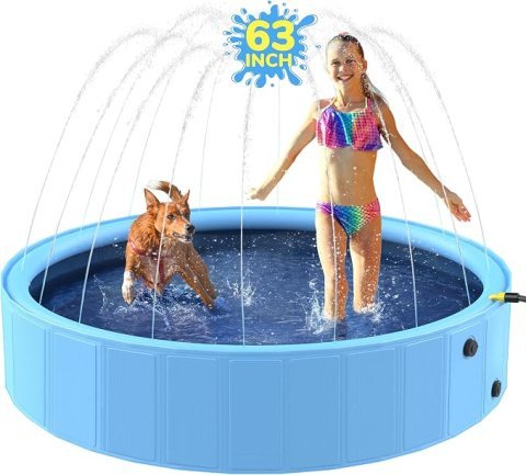 Buy 63-Inch Foldable Dog Pool Online | Heavy-Duty Non-Slip Splash Pool for Dogs & Kids
