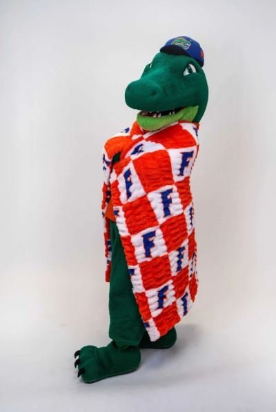 Buy Florida Gators Hugs Blanket Online | Ultra Soft Plush NCAA Throw Blanket for Fans