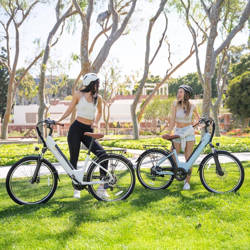 Buy Heybike Cityscape 2.0 Electric Bike for Adults Online | 1200W Peak Commuter E-Bike with Removable Battery